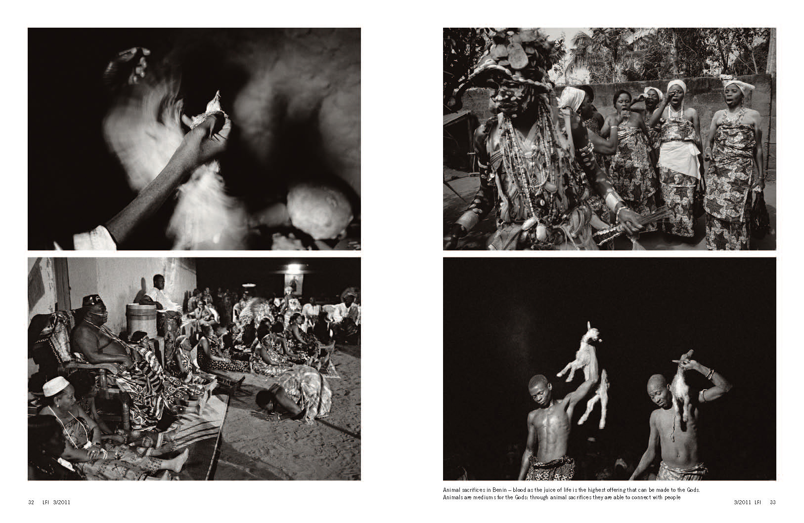 3-EN_LFI_032011_VOODOO_Page_5